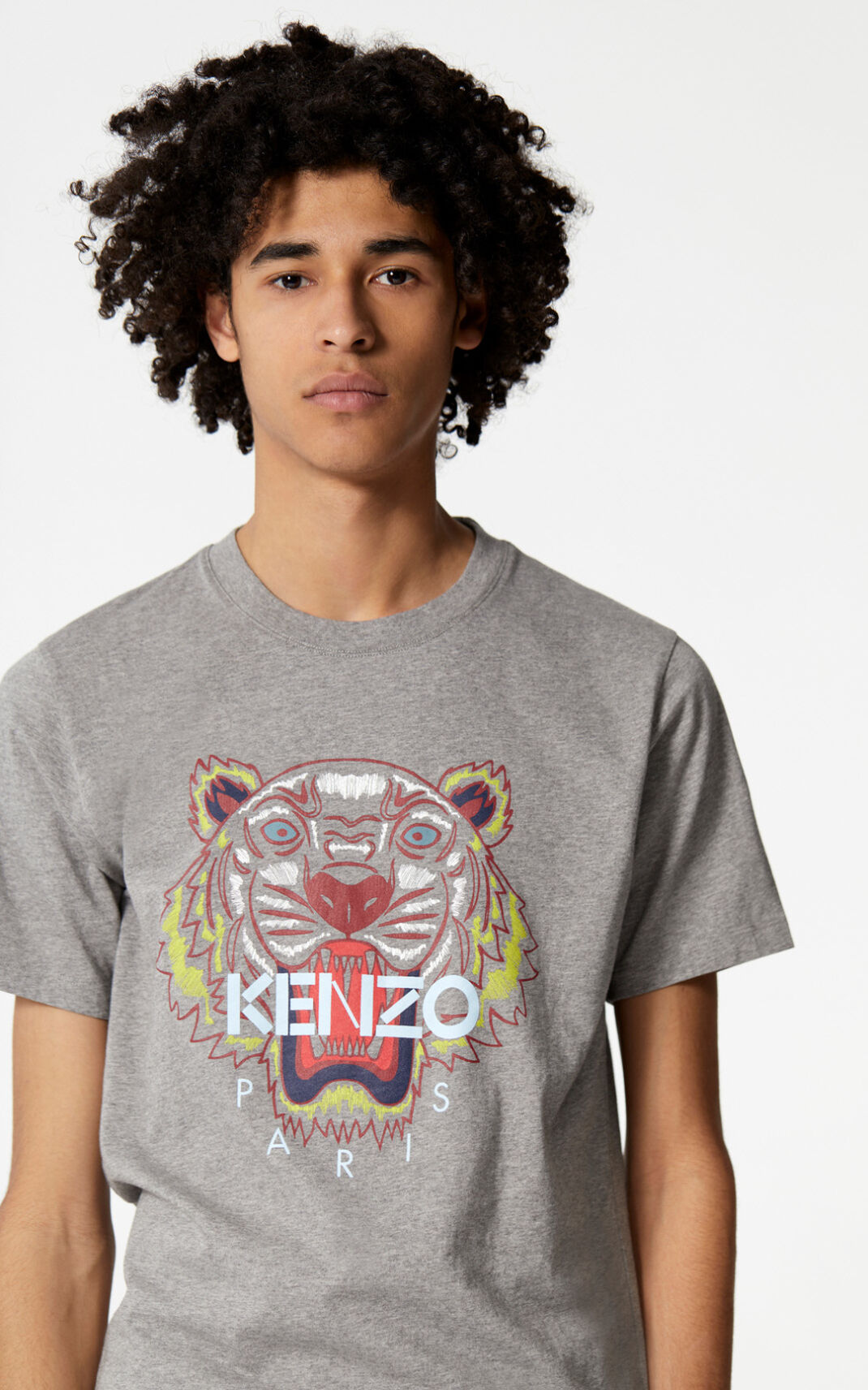 Kenzo Tiger Camisetas Hombre Gris | 5168972-PC